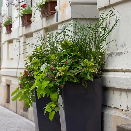 Mauritius - Im Herzen Von - Frühstück Buchbar - Restaurant - Café - Fahrradbox 3*