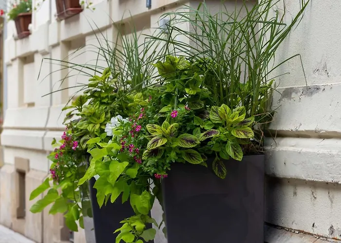 Mauritius - Im Herzen Von - Fruehstueck Buchbar - Fahrradbox 3*